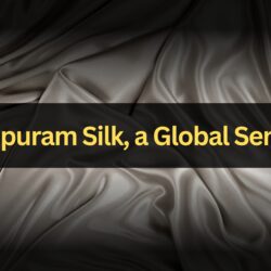 Kanchipuram Silk, a Global Sensation